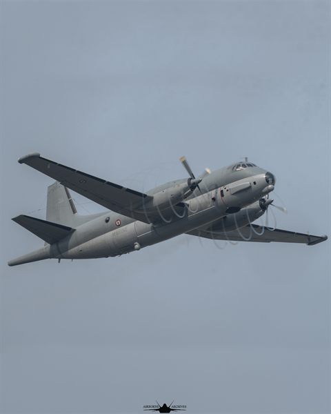 aviation